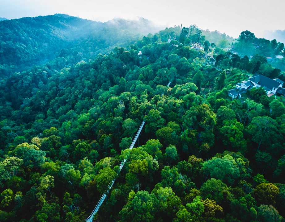 The Habitat Penang Hill Admission Ticket Ticket